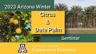 2023 Arizona Winter Citrus and Date Palm Seminar