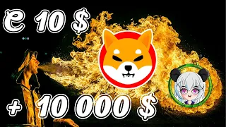 АКТУАЛИТИ.0.1Сиба ину криптовалюта, Панда герл, Shiba inu, Shiba inu coin,Pandagirl,panda girl token