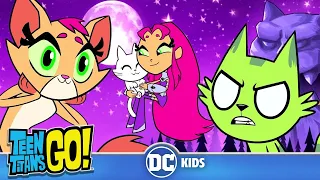 Teen Titans Go! | Cats 😽Meow-ments 😻| @dckids