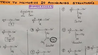 Trick to draw & memorize 20 Amino acid structures from Biomolecules class 12 chemistry by Komali mam