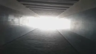 Для крота свет в конце тоннеля это тупик