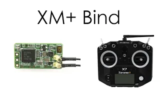 [FR] XM+ Bind