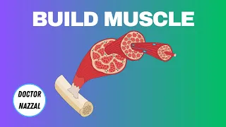 How to Build Muscles | Doctor Explains