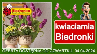 BIEDRONKA | Nowa Oferta od Czwartku 04.04.2024 | Kwiaciarnia Biedronki | Tanie Kwiaty