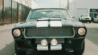 1967 Shelby GT500 Tribute