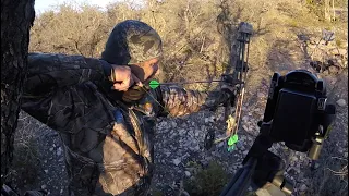 Bowhunting Hogs in Texas The Screeching Pig Hog Hunting Episode 57