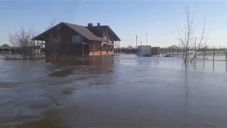 село Новая Усмань, Воронежская область, река Усманка разлив