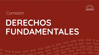 Comisión de Derechos Fundamentales Nº55 - Convención Constitucional Chile - 22/03/2022.