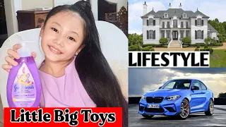 Little Big Toys (YouTuber) Lifestyle, Biography, Networth, Realage, Hobbies, |RW Facts & Profile|