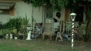 Lehigh Acres 'hoarder' cited after skeletal cat remains found among clutter