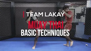 MUAY THAI | 2 MUAY THAI STRIKING COMBINATIONS | Team Lakay Instructionals