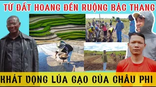 Linh Philip Vlogs Công Giáp Từ Đất Hoang Thành Ruộng Bậc Thang, Khát Vọng CÂY LÚA Người Dân Châu phi