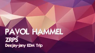 Pavol Hammel - ZRPŠ (Deejay-jany EDM Trip) ( 2019 )