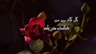 نماهنگ فوق العاده از ترانه #گل گلدون من #سیمین غانم