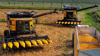 CORN HARVEST 2023 2x REVELATION NEW HOLLAND CR