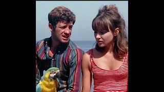 Pierrot Le Fou : Anna Karina is the Perfect Girl