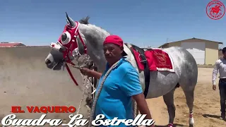 El Vaquero CDA La Estrella vs. El Cuervo CDA El Katri REVANCHA