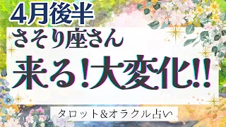 【さそり座】超神回‼︎“全体運” だけでも見てください！！凄い運気来てます🌟✨【仕事運/対人運/家庭運/恋愛運/全体運】4月運勢  タロット占い