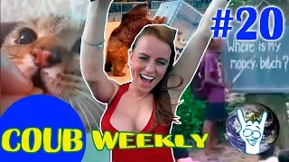 COUB Weekly #20 лучшее за неделю ( Подборка приколов июль 2015 часть 5 )