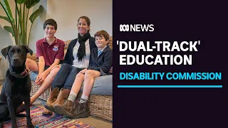 'Dual-track' education system is failing young students with disability, advocates say | ABC News