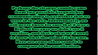 Cuyahoga Valley National Park Possible Bigfoot Vocalization 6/25/15 - Squatch Watch