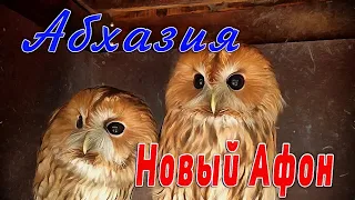 Абхазия, Новый Афон — Прогулка по городу (4K - 60 fps)