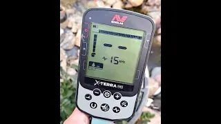 Minelab X Terra Pro - Тест на денарик