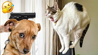 The FUNNIEST Pets Around The World 🌍 | Family Friendly Videos #3