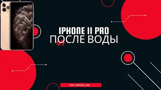 iphone 11 pro не включается после попадания воды