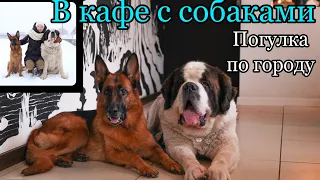 Vlog: поход с СОБАКАМИ в DOG-FRIENDLY КАФЕ | Прогулка с центре города