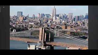 Brooklyn bridge life after people