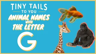 Animals that start with "G" | Learn animal names for #kids and #toddlers! | Tiny Tails to You