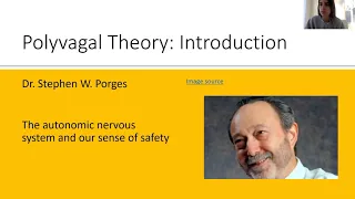 Perinatal Trauma and Polyvagal Theory: Common Misconceptions and Implications for Counselors