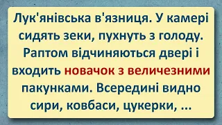 Лук'янівська В'язниця! Українські Анекдоти! Анекдоти Українською! Епізод #162