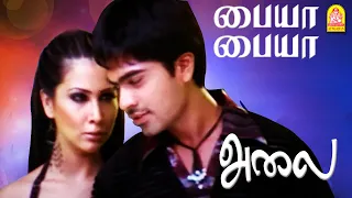 Paiya Paiya பையா பையா - HD Video Song - | Alai | Silambarasan | Trisha | Vidyasagar