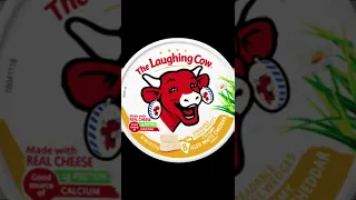 Laughing cow meme | #memes #shorts #funny