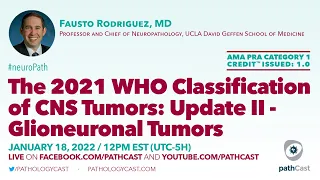 The 2021 WHO Classification of CNS Tumors: Update II - Glioneuronal Tumors