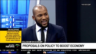 DISCUSSION: Proposal on policy to boost SA economy