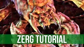 StarCraft 2: Zerg Tutorial - Drones before Army!