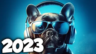 TOP ELECTRO HITS 2023 | MOST PLAYED ELECTRONIC MUSIC 2023 | BALAD Alok, Tiesto & David Guetta