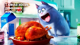 Тайная жизнь домашних животных (Обзор без спойлеров кратко)