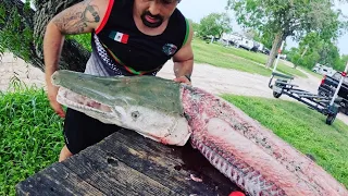 CLEANING AND FILLETING A MONSTER ALLIGATOR GAR (PREHISTORIC DINOSAUR)