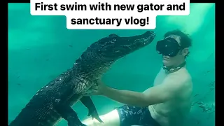 Gator swim and sanctuary vlog!