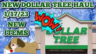 NEW DOLLAR TREE HAUL 1/17/23. WOW!! GREAT NEW ITEMS