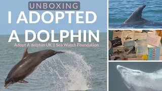 I ADOPTED A DOLPHIN! || Unboxing | [sea watch foundation/adopt a dolphin UK]