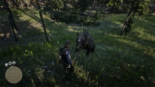 Bears won't attack you if you stand your ground. Red Dead Redemption 2 PC