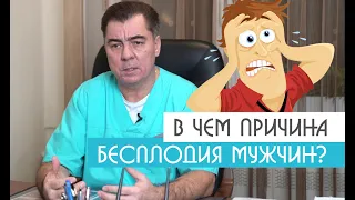 В чем причина Бесплодия Мужчин?| Уролог-андролог Михаил Чалый