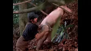 The famous squeal like a pig scene from the 1972 thriller Deliverance