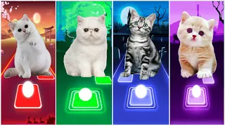 CUTE CATS WEDNESDAY LADY GAGA BLOODY MARY😸BLACKPINK LISA MONEY😸JISOO FLOWER😸COOL CAT ALAN WALKER