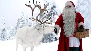 Lapland Reindeer Land of Santa Claus 🦌🎅 Pello Finland Interview of Father Christmas Rovaniemi